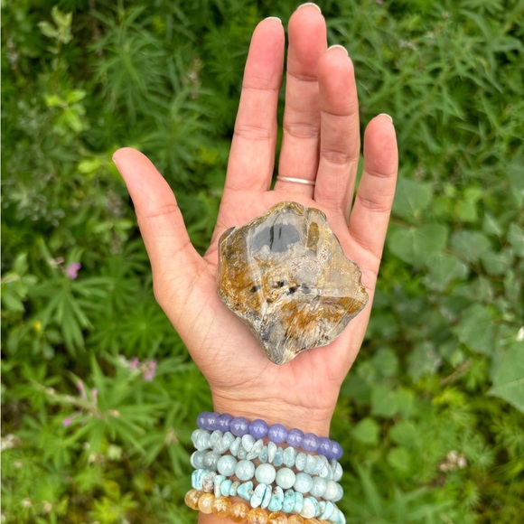 Petrified Wood from South Dakota - Picture 2 of 4